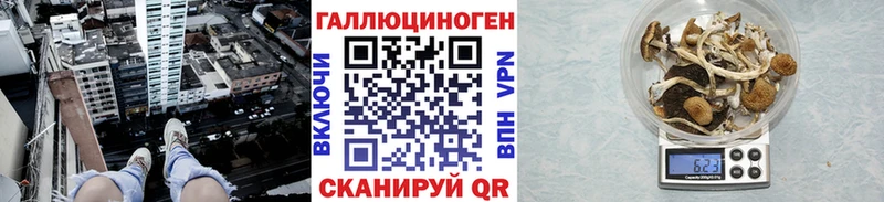 Галлюциногенные грибы Psilocybe  KRAKEN как зайти  Каневская 